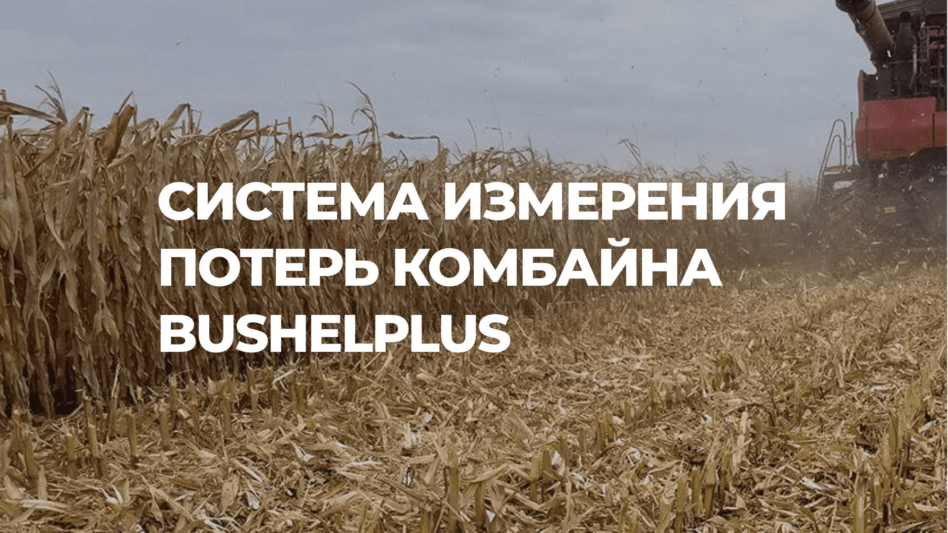 Baltic Invest - Facebook - Bushel Plus 1 RU