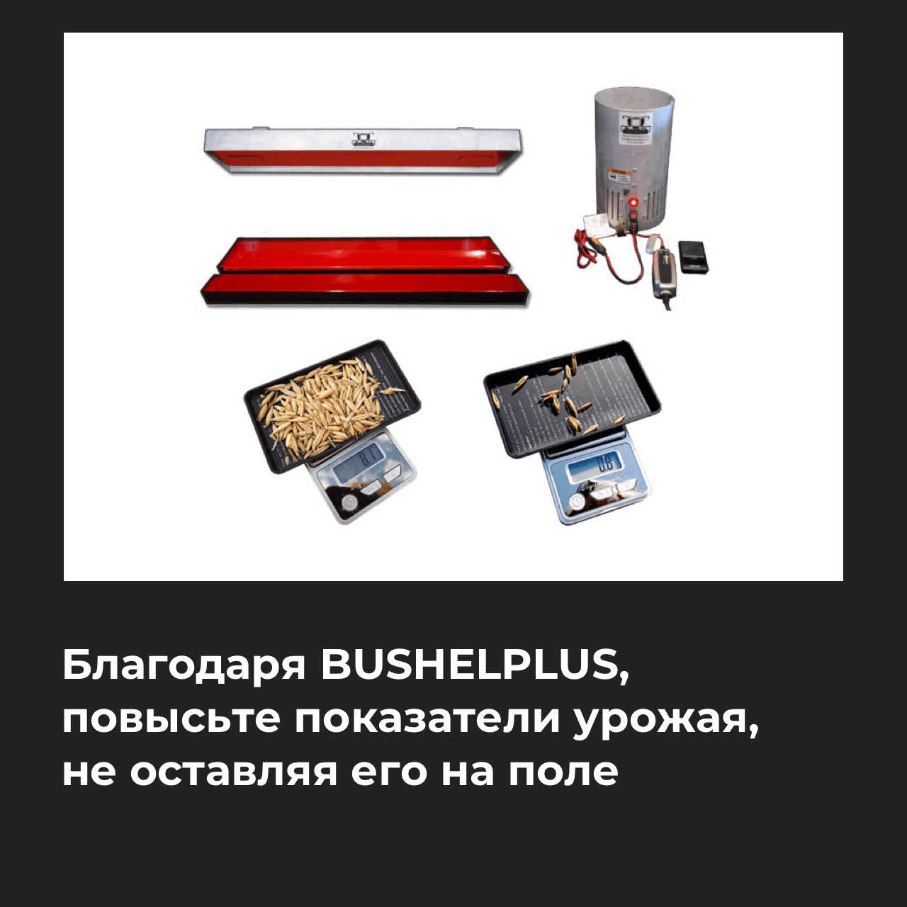 Baltic Invest - Facebook - Bushel Plus 6 RU