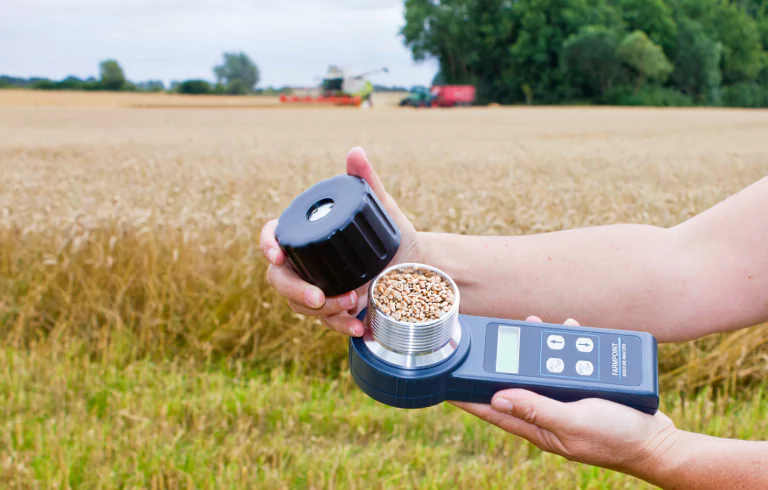 Особливості вимірів вологості пшениці вологоміром зерна