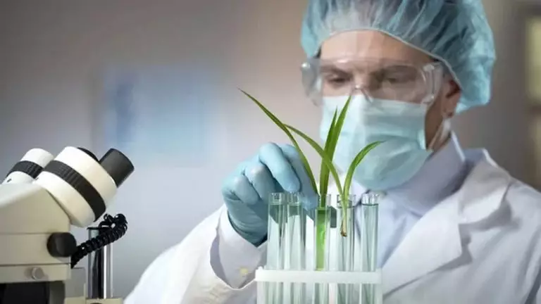 Тенденции развития лабораторного оборудования для зерновых лабораторий: новые технологии, программное обеспечение и прогнозы отрасли