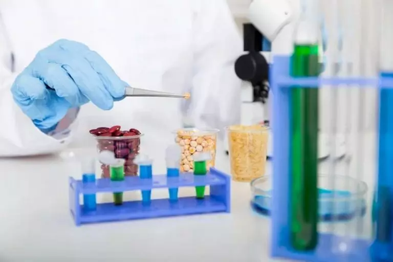 Тенденції розвитку лабораторного обладнання для зернових лабораторій: нові технології, програмне забезпечення та прогнози галузі