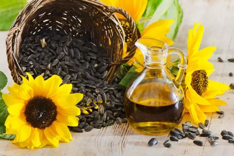 Методы определения масличности семян