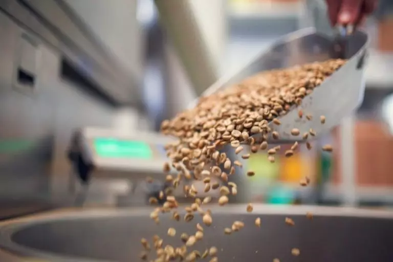 Что необходимо того, чтобы влажность и температура хранимого зерна была в норме