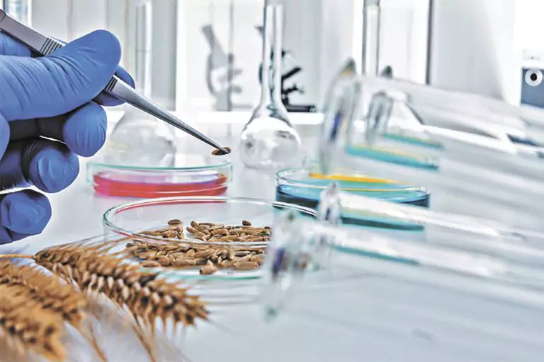 Виды лабораторного оборудования