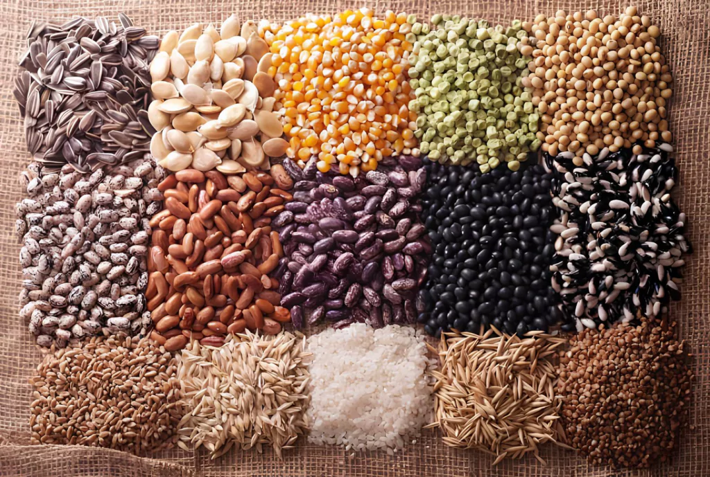 Зерновые культуры — основные виды, популярные сорта и условия выращивания