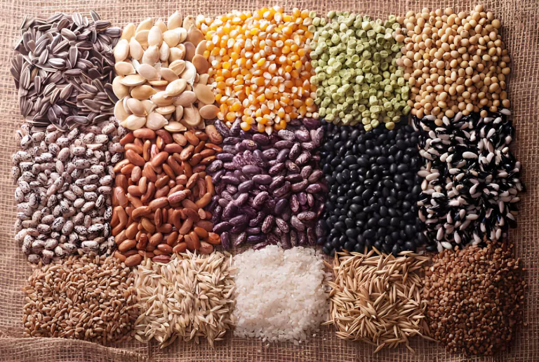 Зерновые культуры — основные виды, популярные сорта и условия выращивания